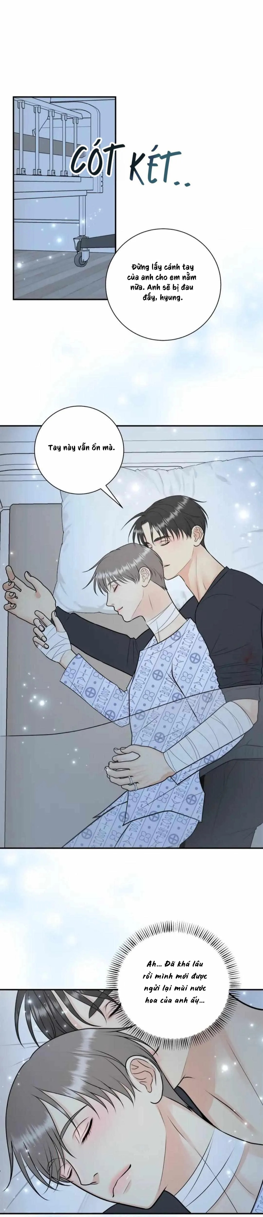 Hạnh Phúc Trọn Vẹn Chapter 52 Trang 15