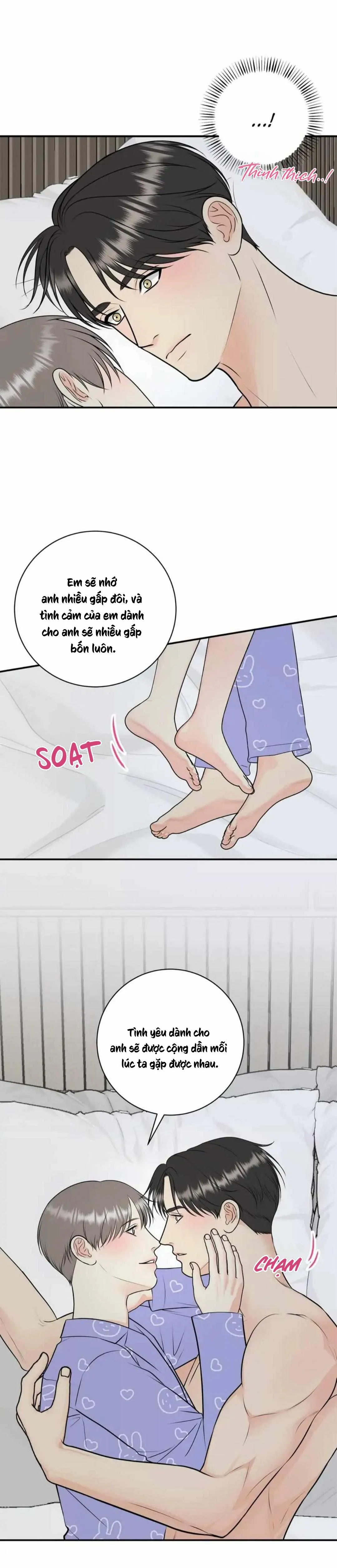 Hạnh Phúc Trọn Vẹn Chapter 55 Trang 8