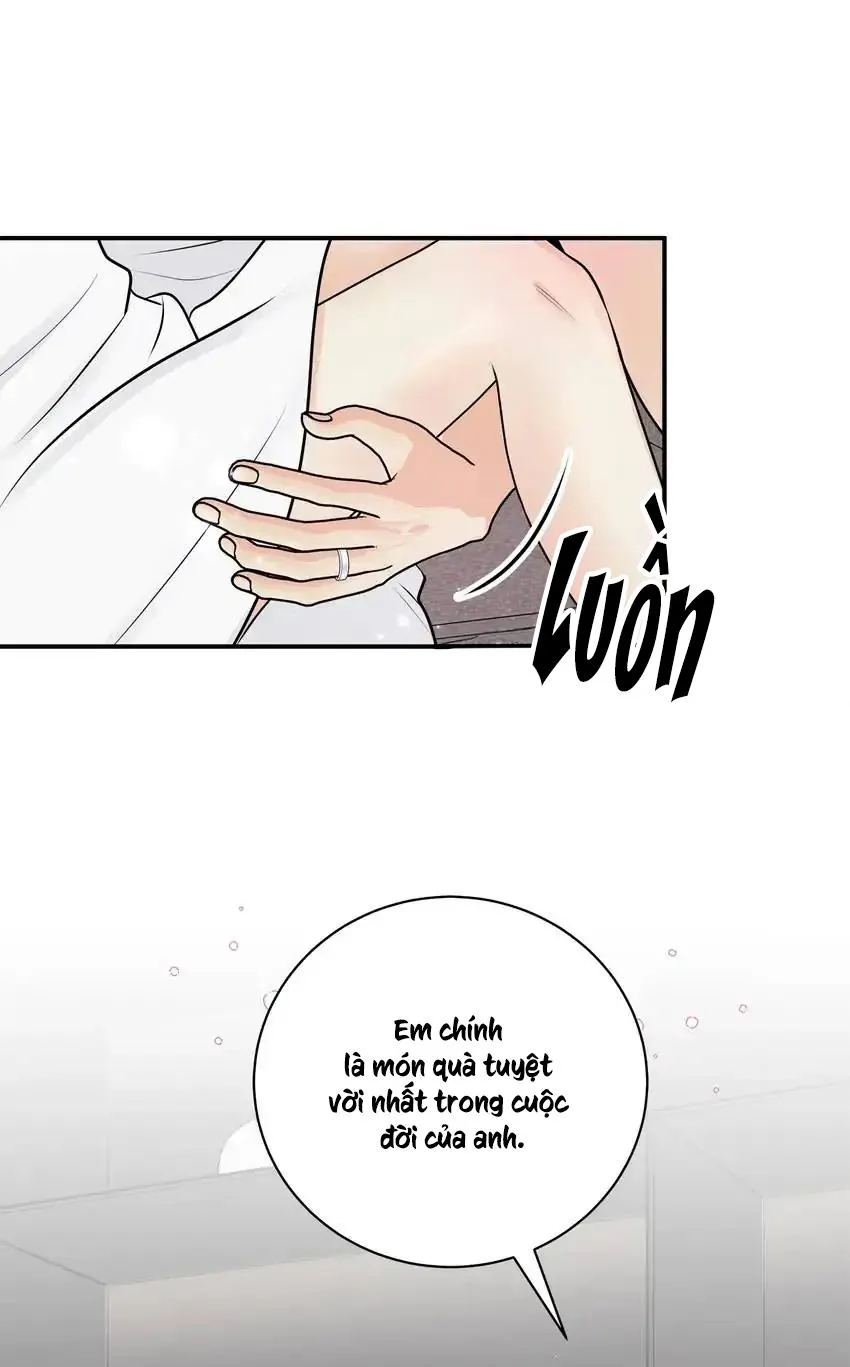 Hạnh Phúc Trọn Vẹn Chapter 58 Trang 28