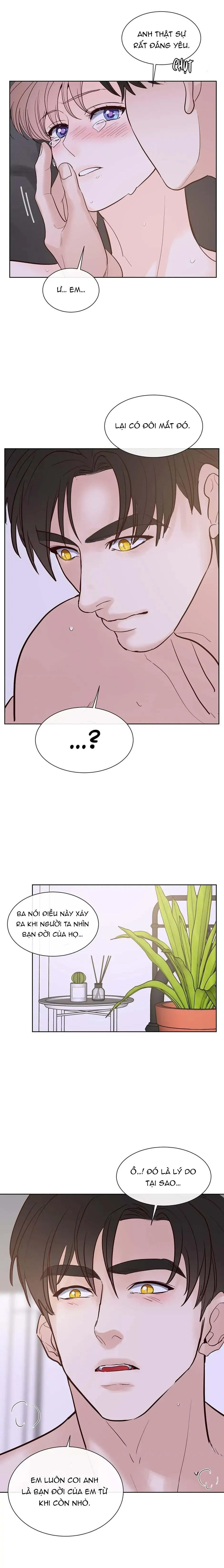 HAR Đụng Là Nóng Mà Chạm Là Chạy Chapter 102 Trang 6