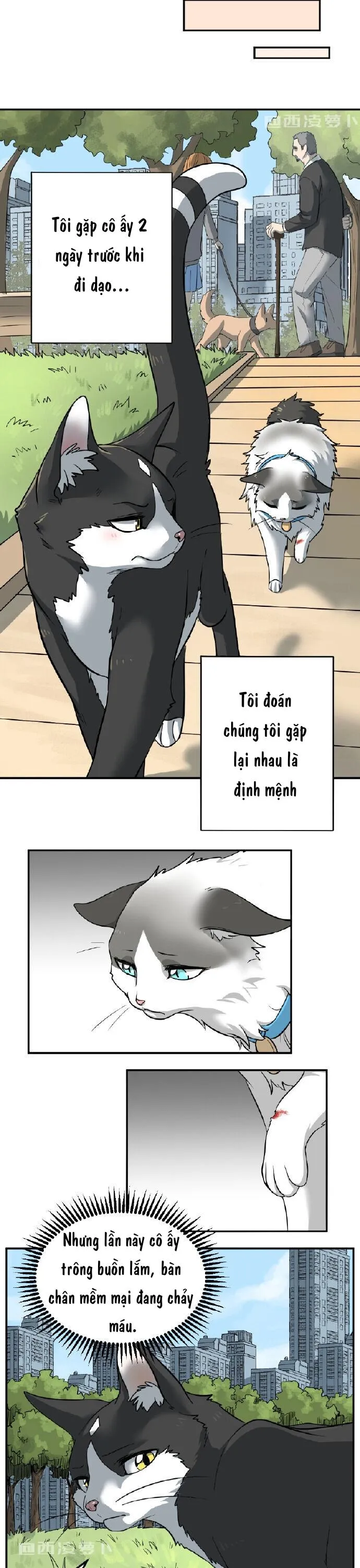 Hạt Mè Và Bánh Gạo Chapter 1 Trang 3