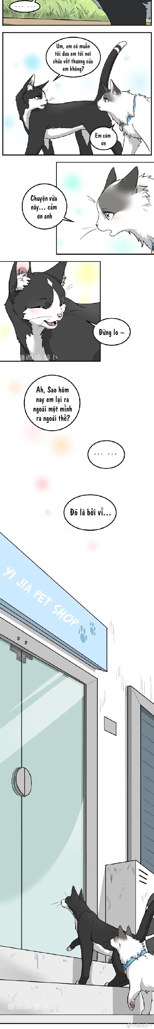 Hạt Mè Và Bánh Gạo Chapter 1 Trang 4