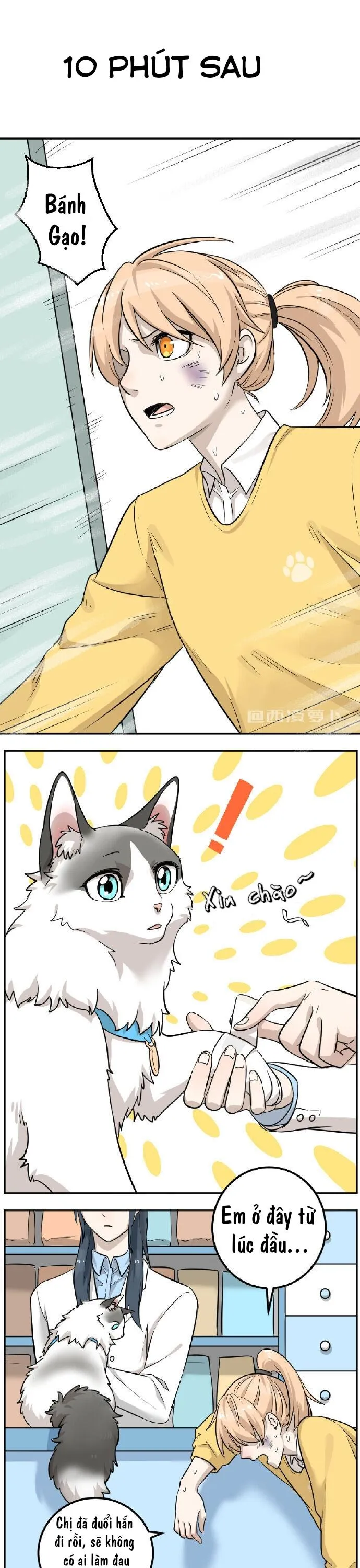 Hạt Mè Và Bánh Gạo Chapter 1 Trang 7