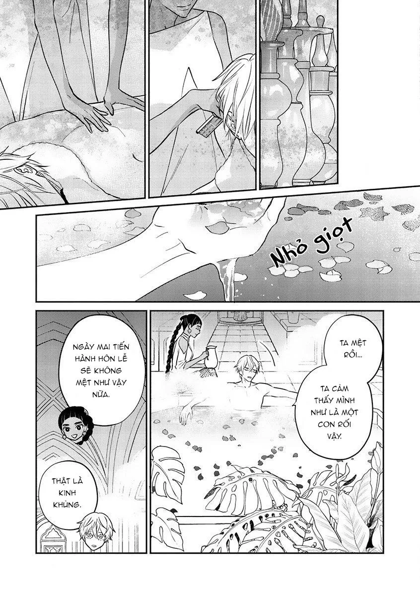 Hậu Cung Omega Chapter 1 Trang 16