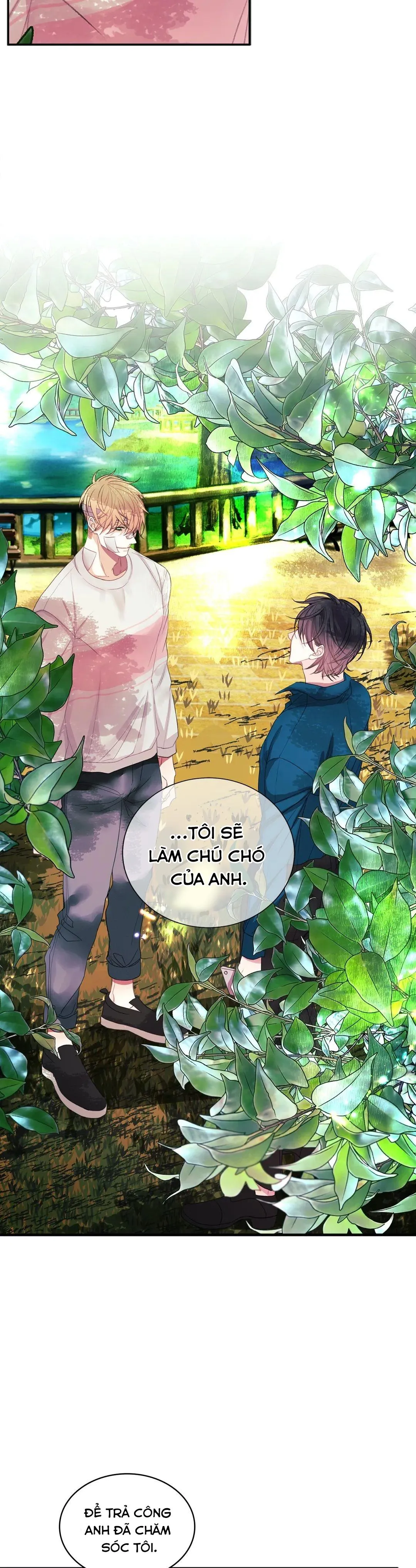 HÃY CHỊU TRÁCH NHIỆM ĐI! Chapter 5 Trang 19