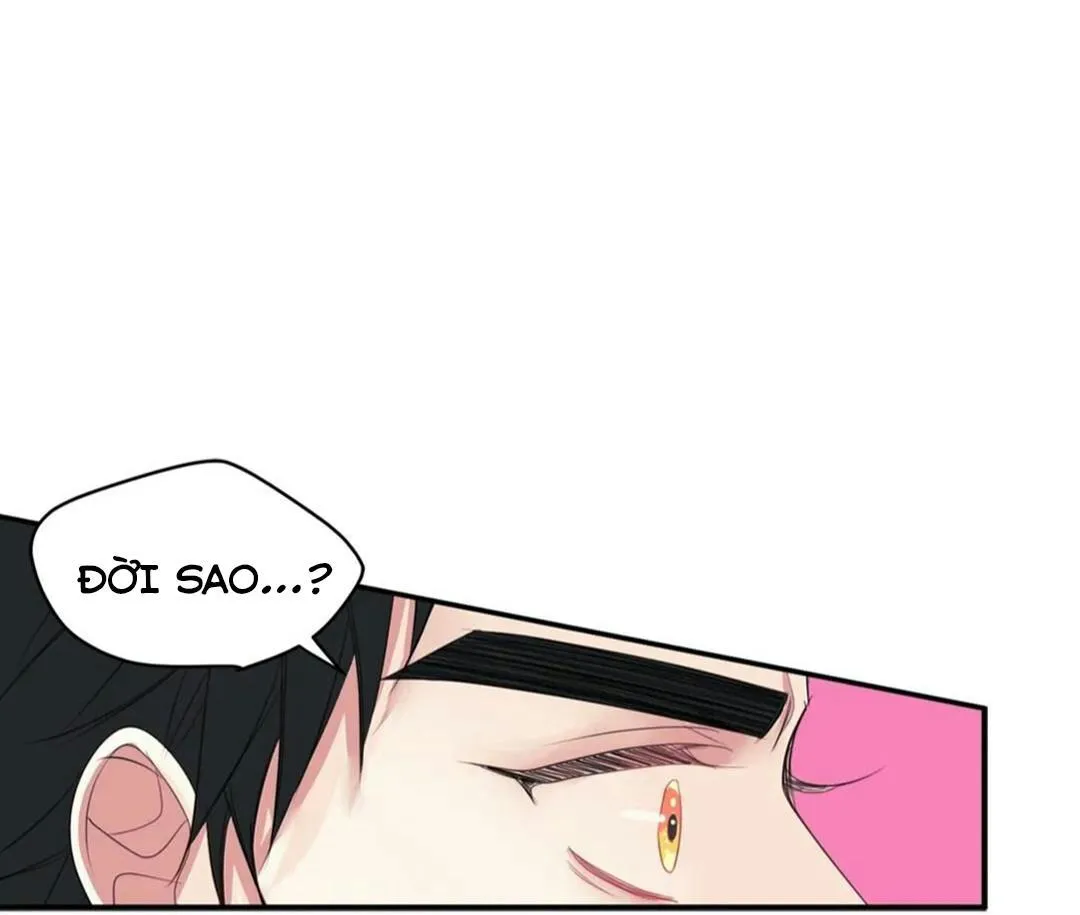 HÃY CHỊU TRÁCH NHIỆM ĐI! Chapter 10 Trang 42