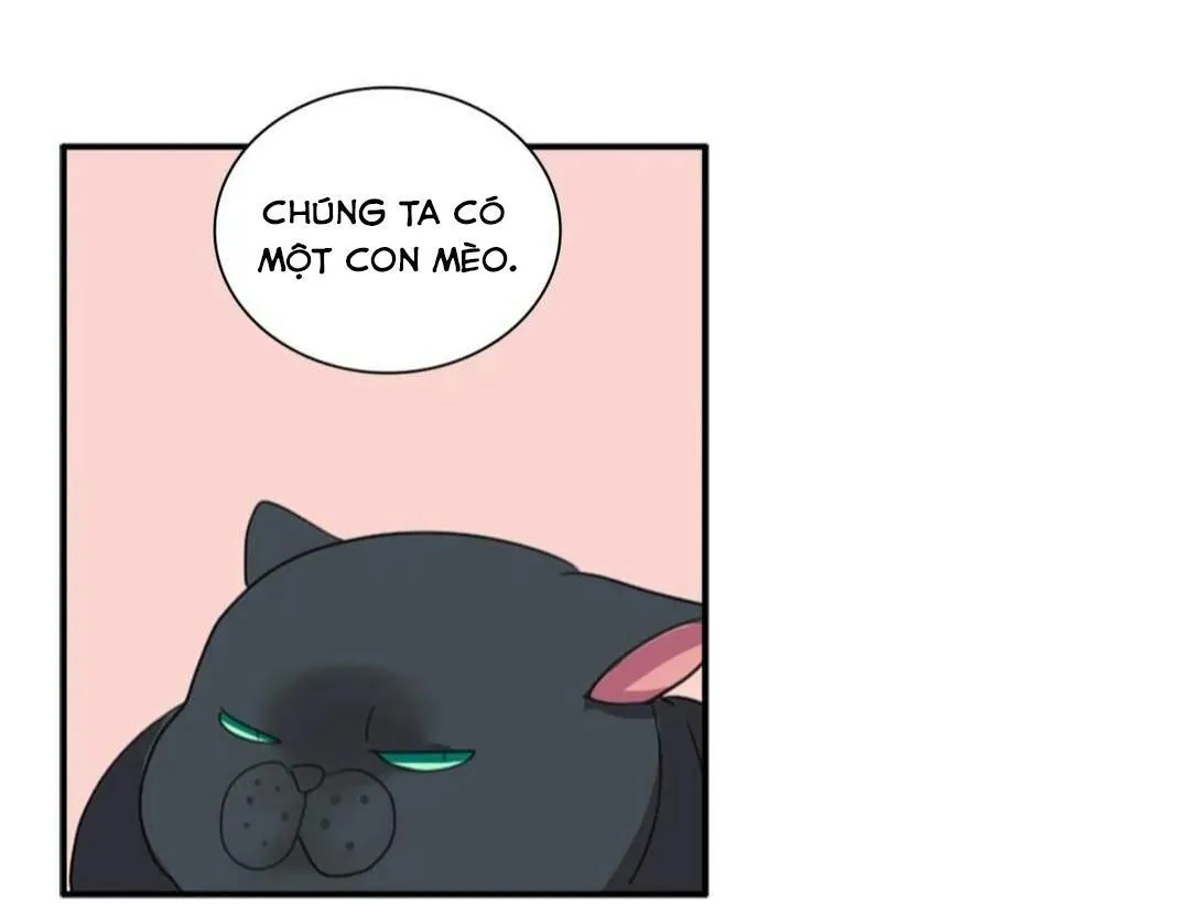 HÃY CHỊU TRÁCH NHIỆM ĐI! Chapter 10 Trang 54