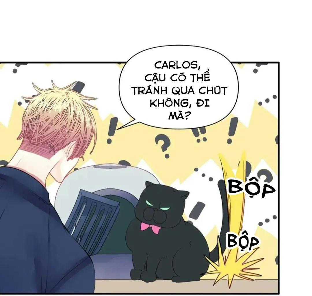 HÃY CHỊU TRÁCH NHIỆM ĐI! Chapter 10 Trang 64