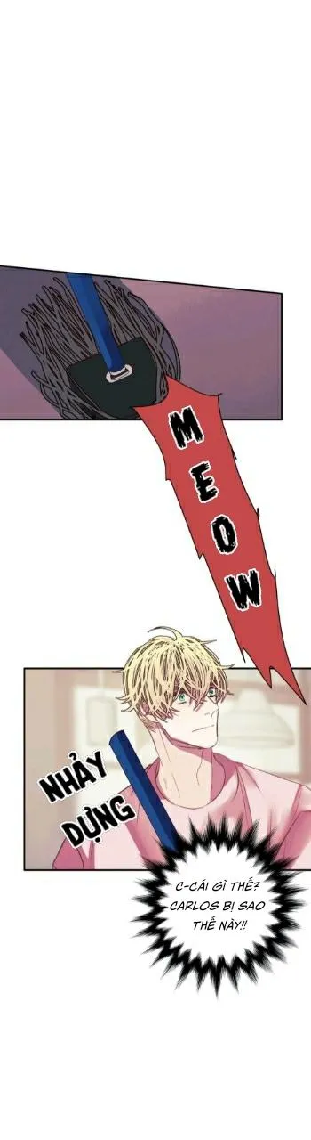 HÃY CHỊU TRÁCH NHIỆM ĐI! Chapter 13 Trang 29