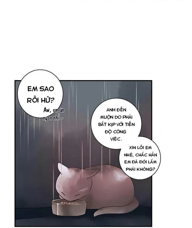 HÃY CHỊU TRÁCH NHIỆM ĐI! Chapter 1 Trang 3