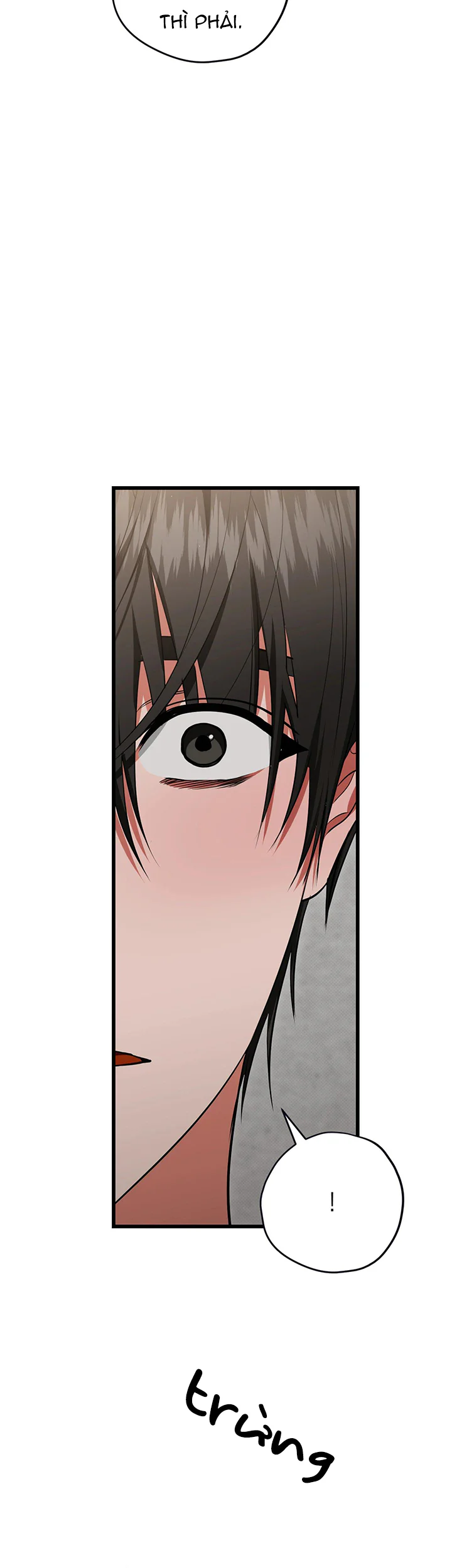 HÃY ĐÁNH TÔI THẬT MẠNH ĐI Chapter 5 Trang 18