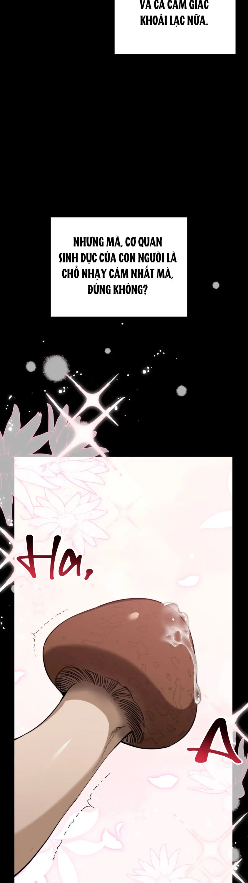 HÃY ĐÁNH TÔI THẬT MẠNH ĐI Chapter 1 Trang 13