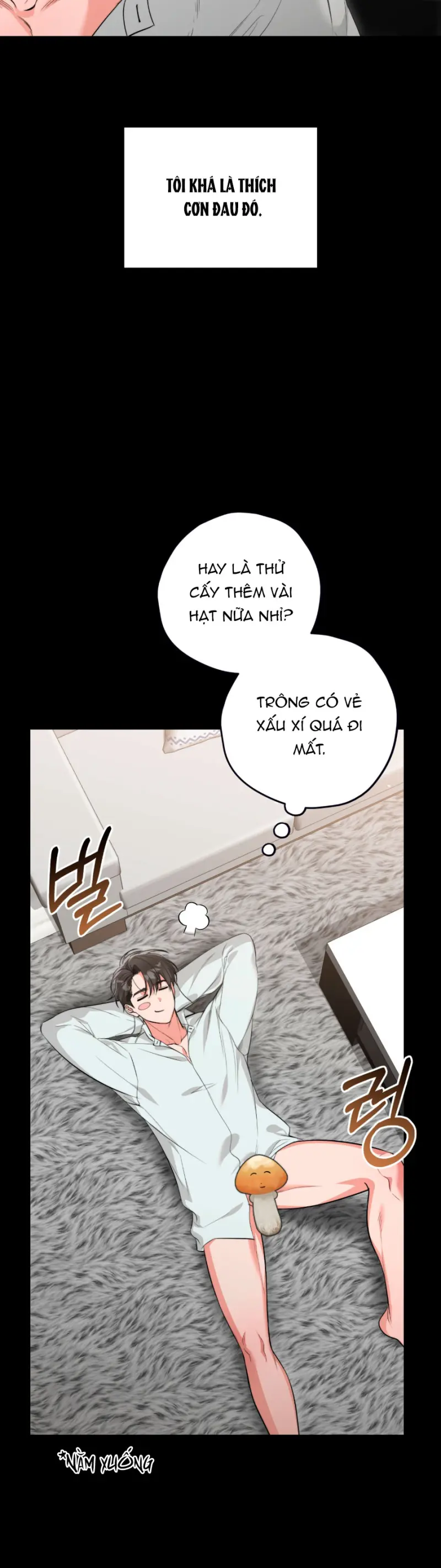 HÃY ĐÁNH TÔI THẬT MẠNH ĐI Chapter 1 Trang 23