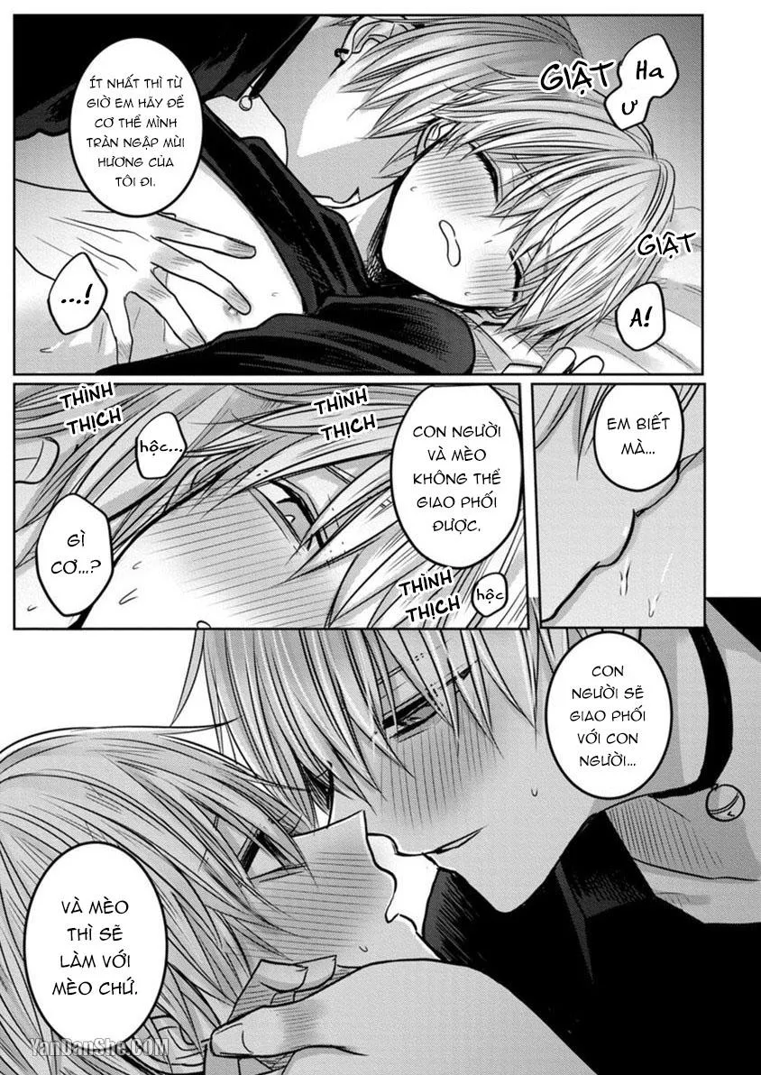 Hãy đến và chiếm lấy những đêm không ngủ của tôi Chapter 2 Trang 6