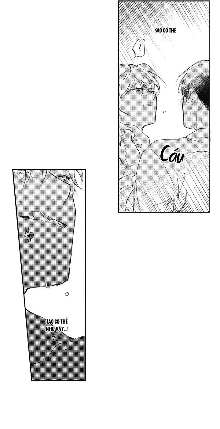 HEALING PARADOX Chapter 12 Trang 5