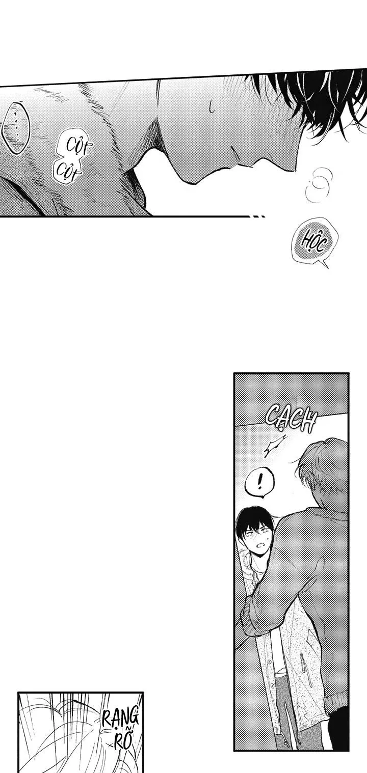 HEALING PARADOX Chapter 16 Trang 9