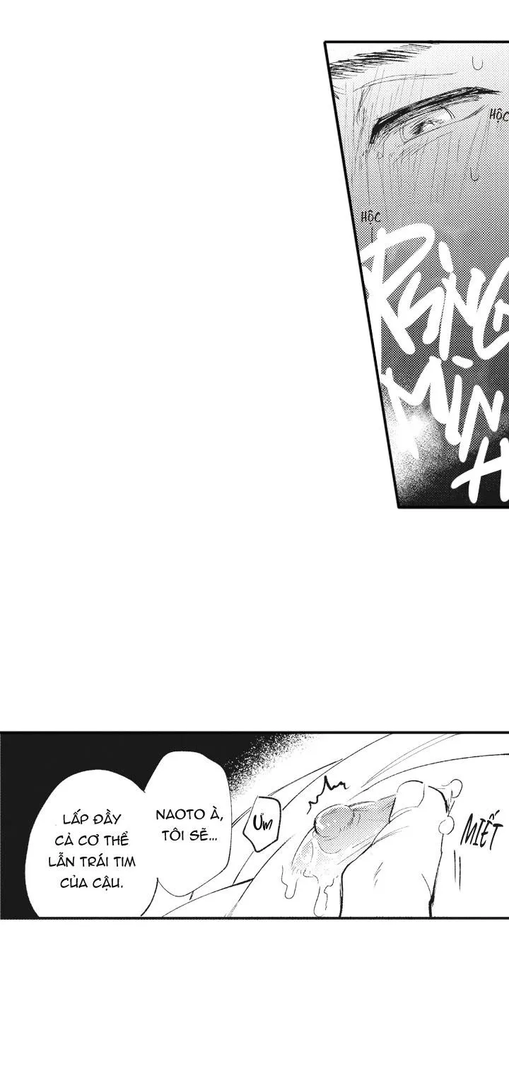 HEALING PARADOX Chapter 18 Trang 5