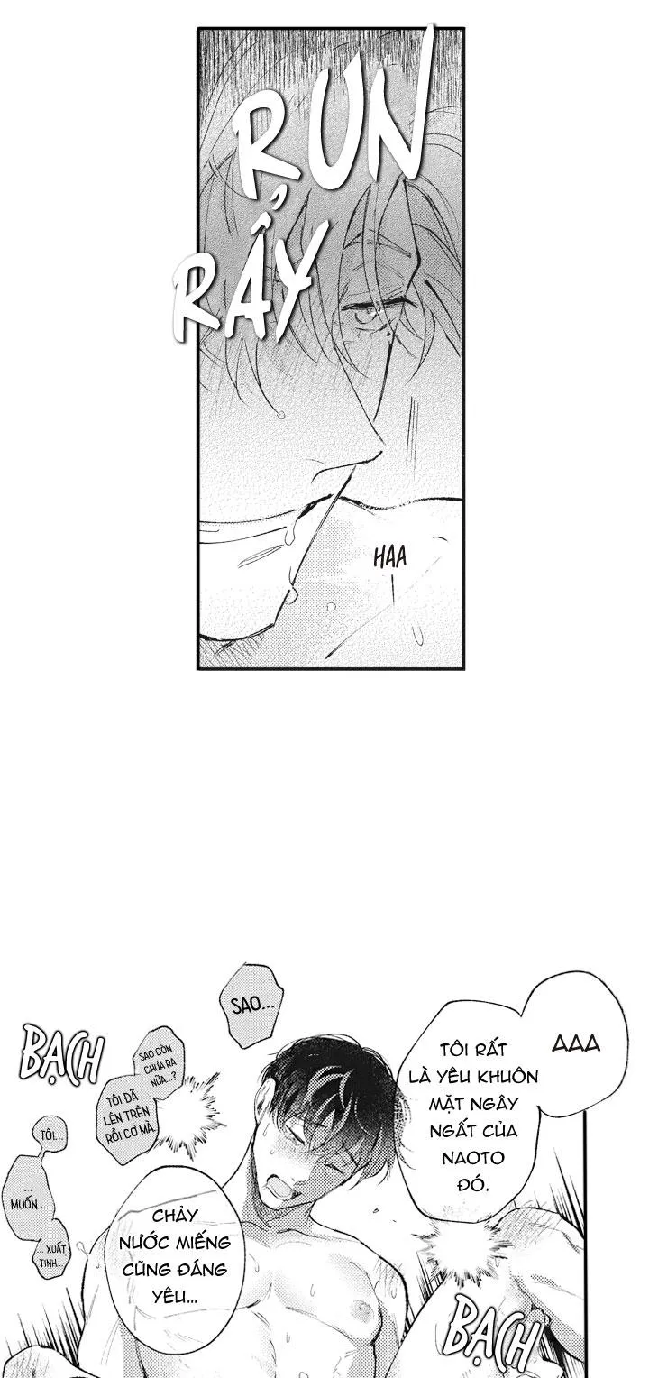 HEALING PARADOX Chapter 19 Trang 5