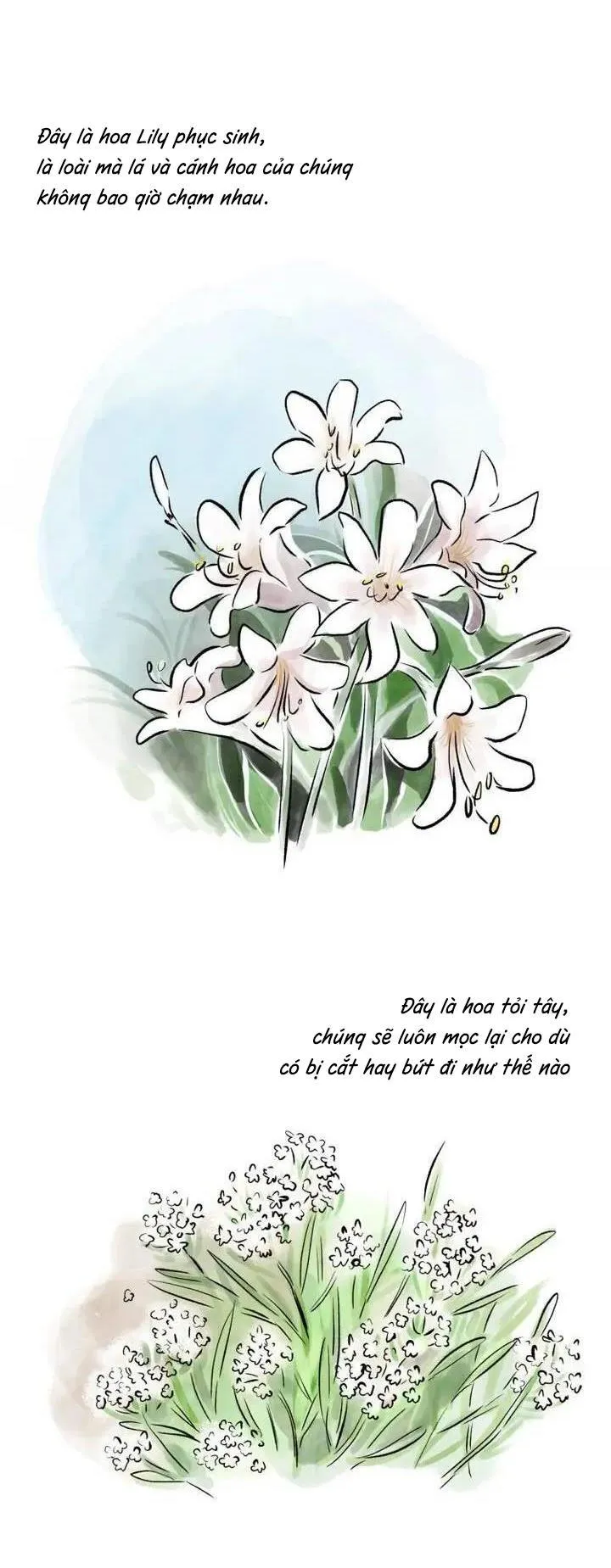 Hẹn Gặp Lại Chapter 7 Trang 32