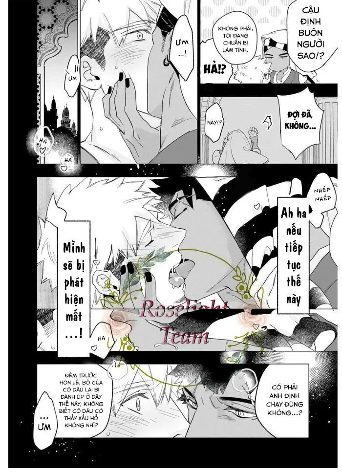 TIỂU THUYẾT GIA CỐ CHẤP BỊ NHUỐM MÀU BỞI TÌNH YÊU Chapter 5 Trang 13