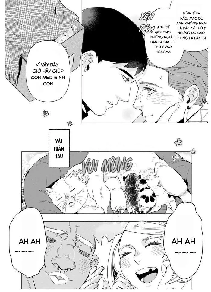 TIỂU THUYẾT GIA CỐ CHẤP BỊ NHUỐM MÀU BỞI TÌNH YÊU Chapter 6 Trang 9