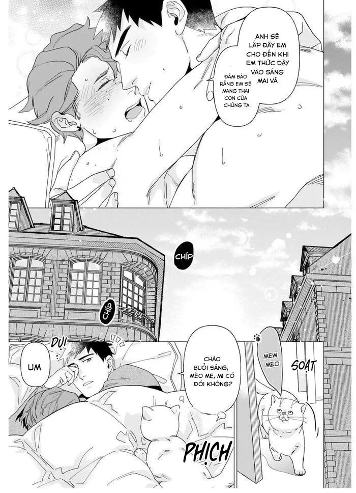 TIỂU THUYẾT GIA CỐ CHẤP BỊ NHUỐM MÀU BỞI TÌNH YÊU Chapter 6 Trang 21