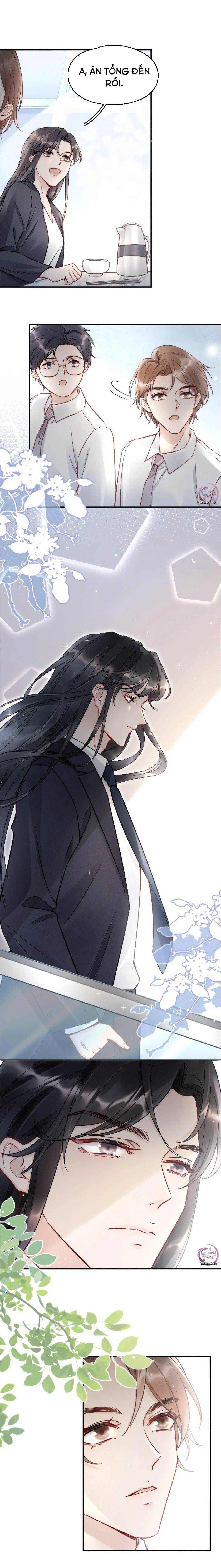 Hổ Phách Cầu Vồng (END) Chapter 3 Trang 8