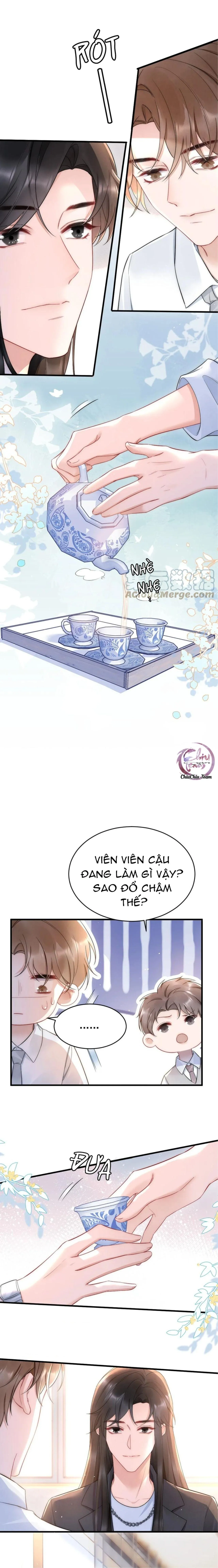 Hổ Phách Cầu Vồng (END) Chapter 24 Trang 7