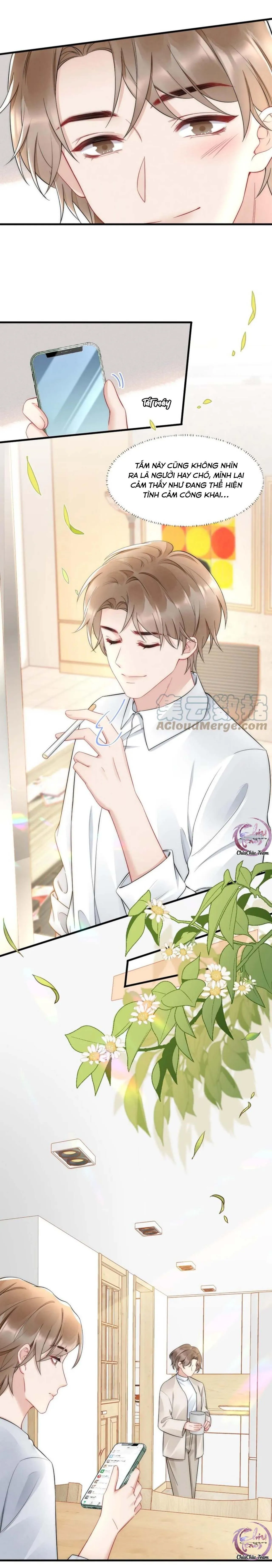 Hổ Phách Cầu Vồng (END) Chapter 35 Trang 12