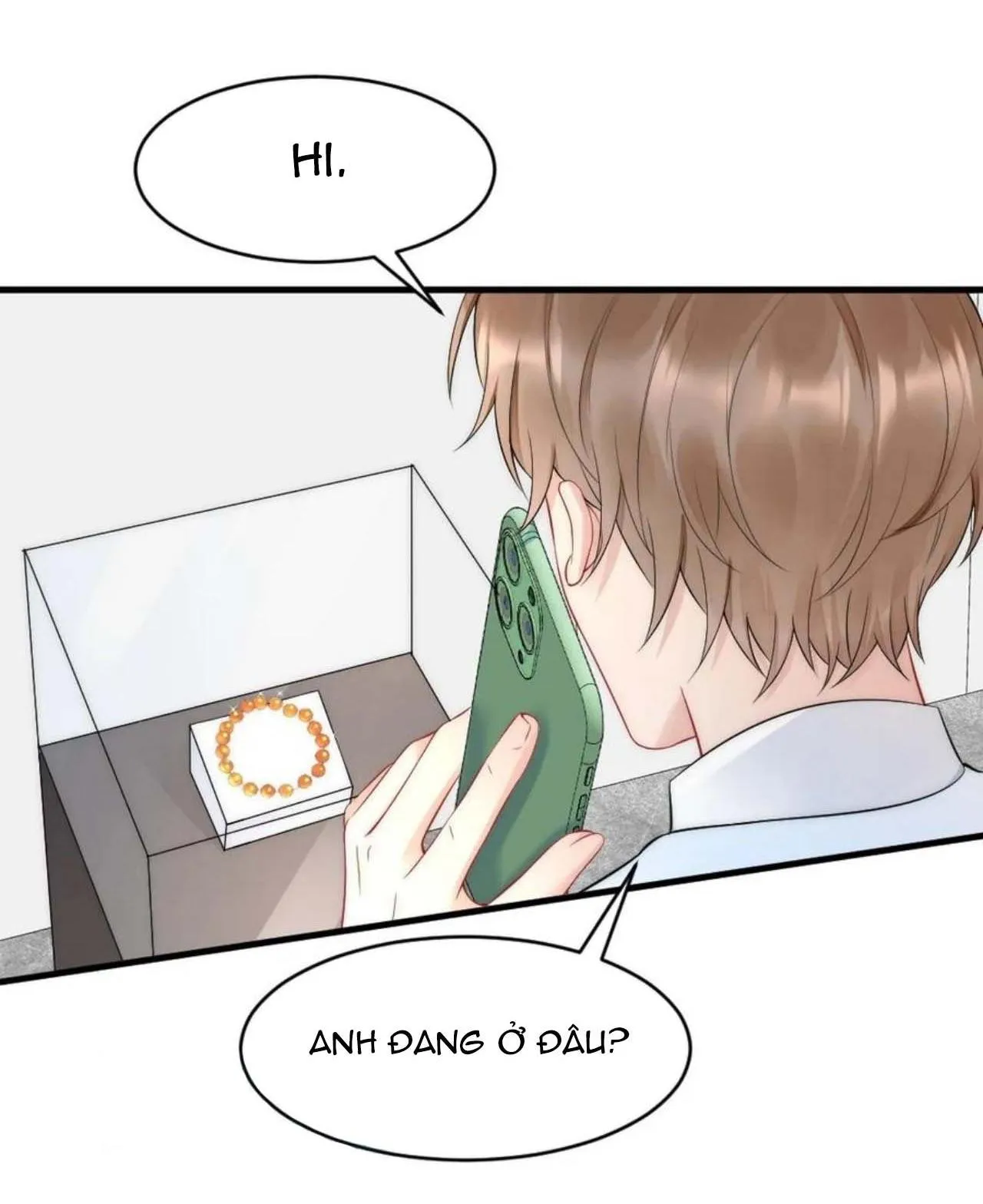 Hổ Phách Cầu Vồng (END) Chapter 35 Trang 35