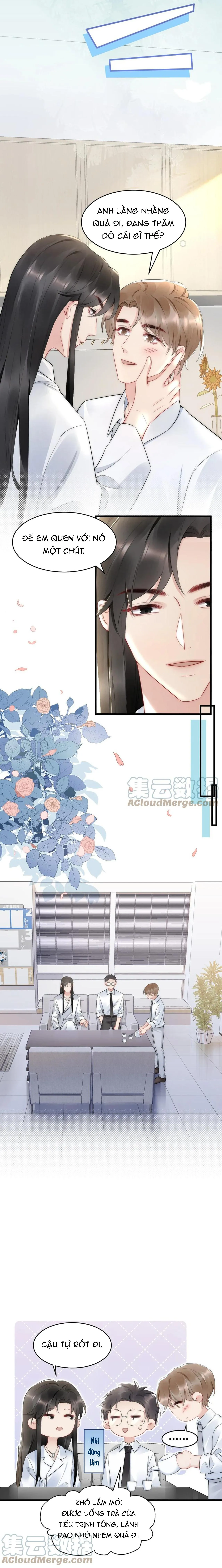 Hổ Phách Cầu Vồng (END) Chapter 37 Trang 6