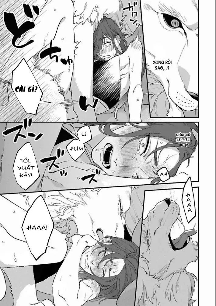 [Hoàn] Shishi Ni Odoroko Chapter 4 Trang 21