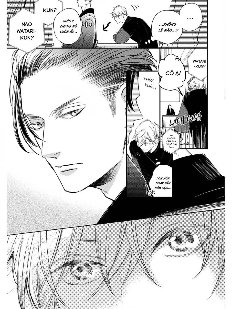 Hồi Kết Mảnh Tình Vương (END) Chapter 3 Trang 5