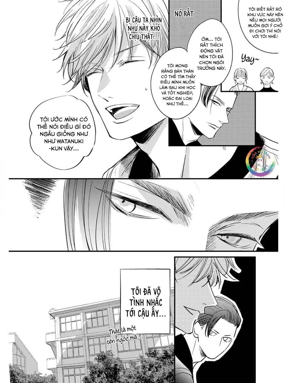 Hồi Kết Mảnh Tình Vương (END) Chapter 3 Trang 12