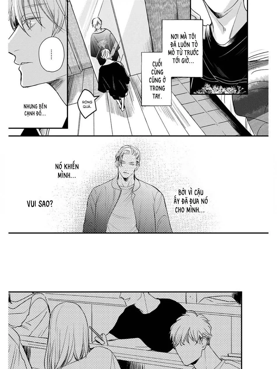 Hồi Kết Mảnh Tình Vương (END) Chapter 3 Trang 19