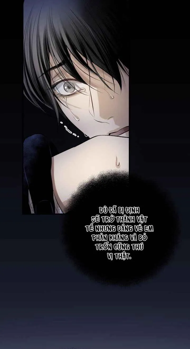 [END] HƠI THỞ CỦA CỪU Chapter 5 Trang 35