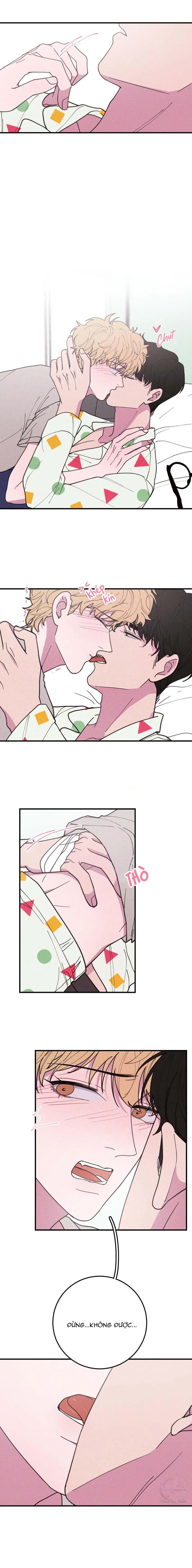 Hộp Bánh Quy Định Mệnh (END) Chapter 33 Trang 5