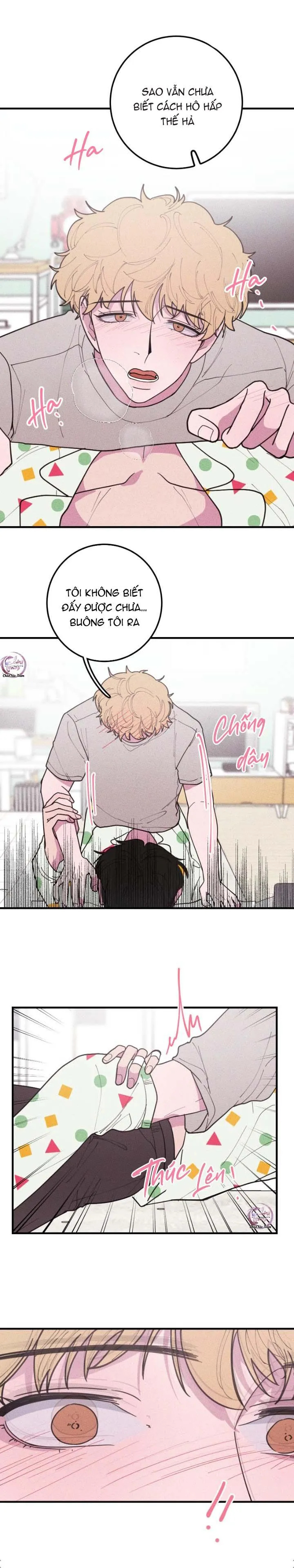 Hộp Bánh Quy Định Mệnh (END) Chapter 33 Trang 7