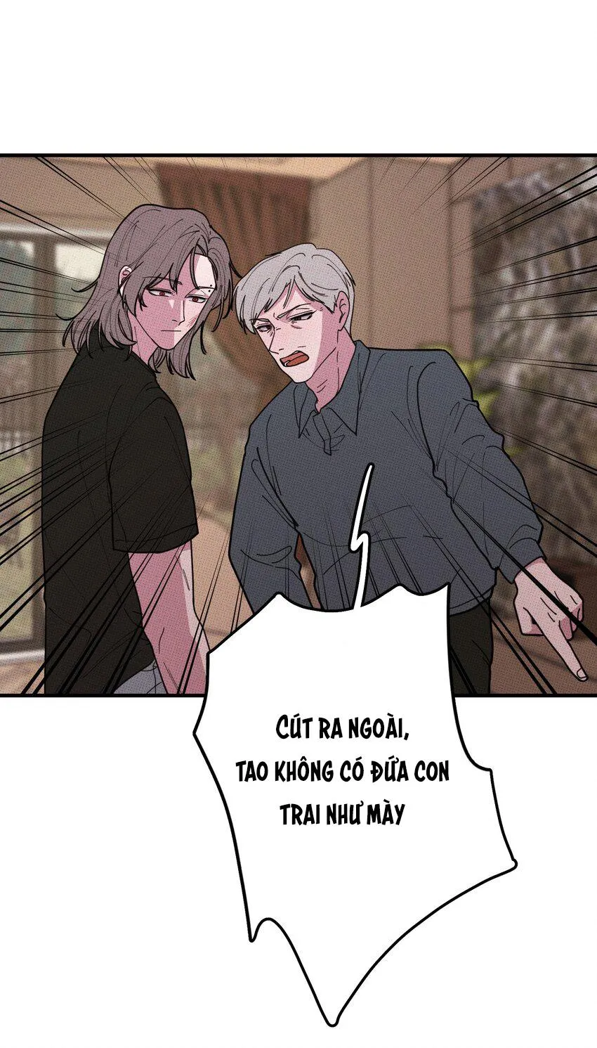 Hộp Bánh Quy Định Mệnh (END) Chapter 34 Trang 13