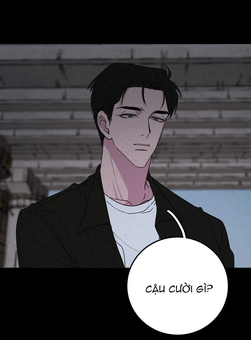 Hộp Bánh Quy Định Mệnh (END) Chapter 34 Trang 40