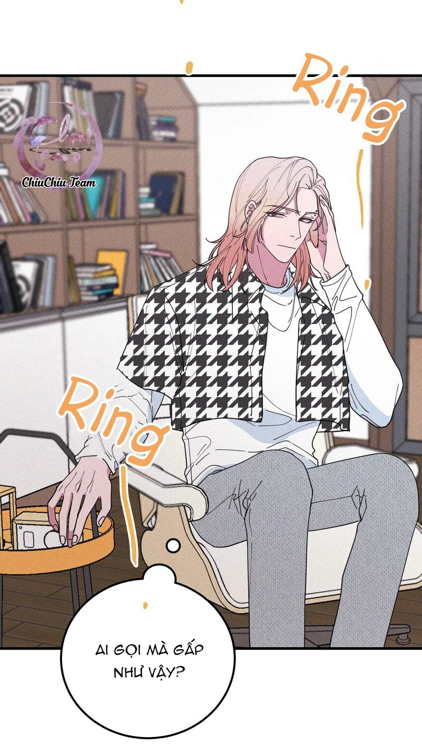 Hộp Bánh Quy Định Mệnh (END) Chapter 34 Trang 46