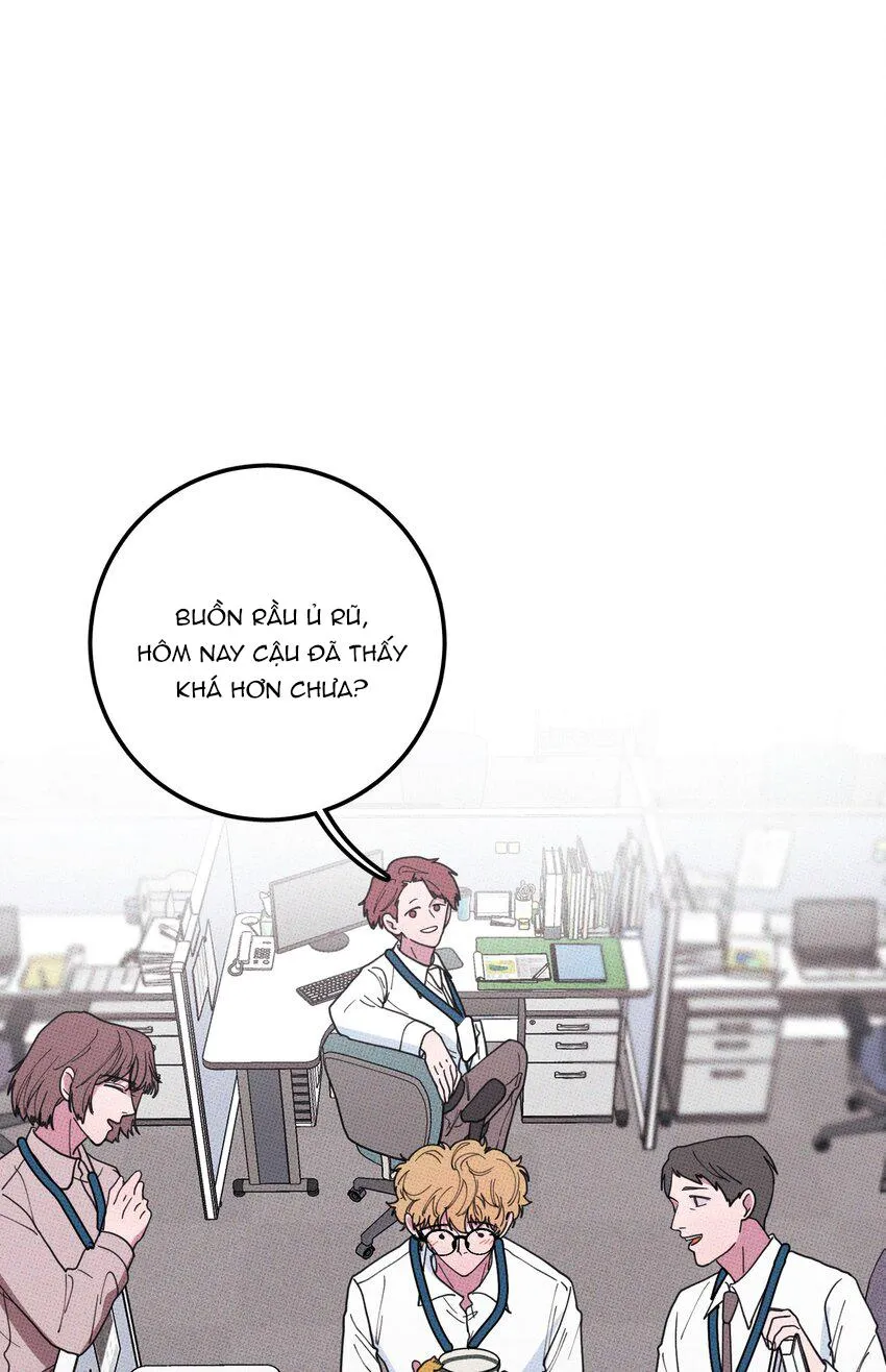 Hộp Bánh Quy Định Mệnh (END) Chapter 35 Trang 12