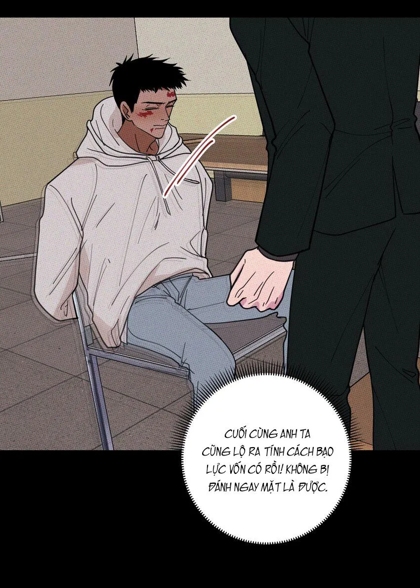 Hộp Bánh Quy Định Mệnh (END) Chapter 35 Trang 36