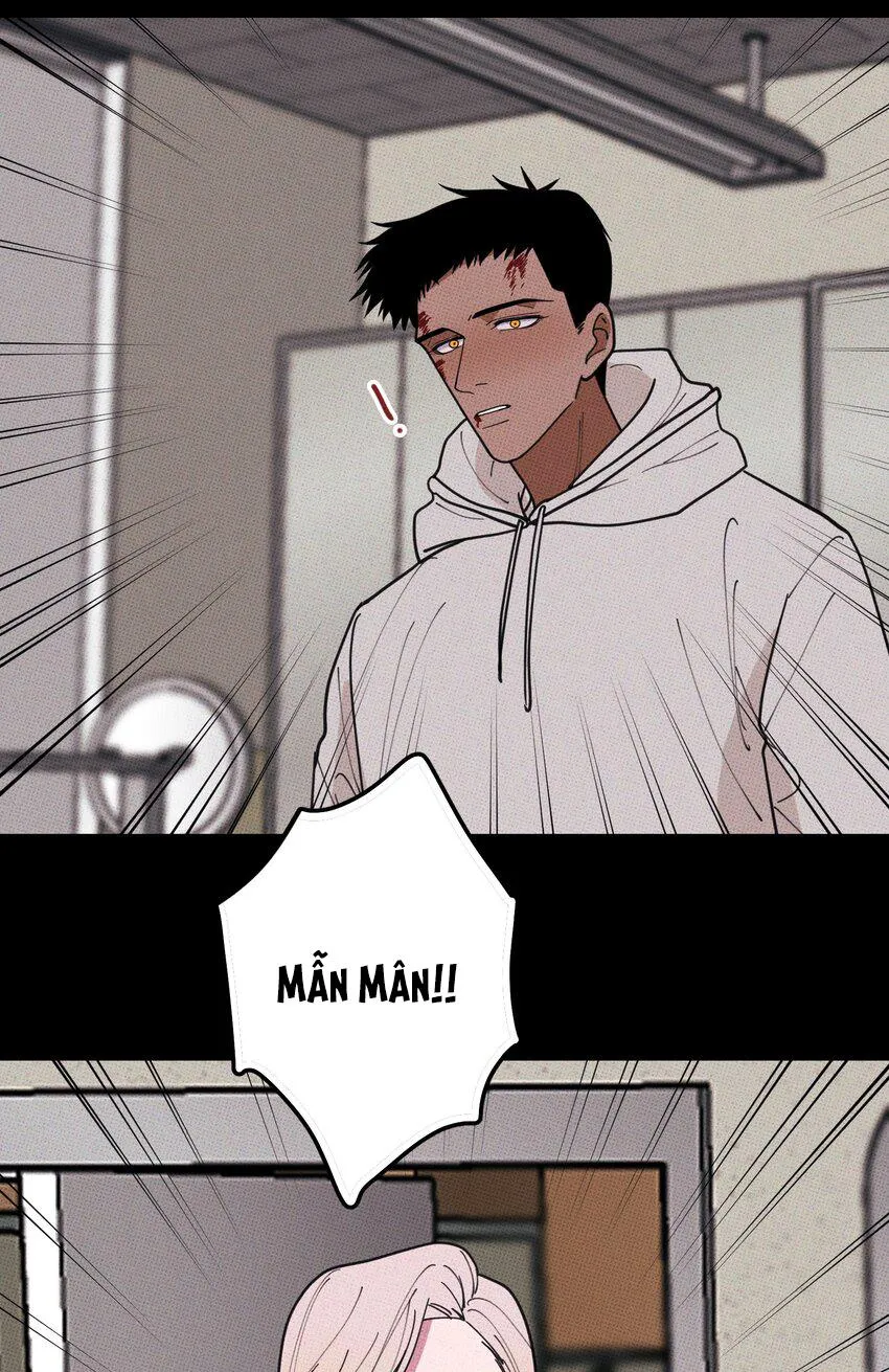 Hộp Bánh Quy Định Mệnh (END) Chapter 35 Trang 40