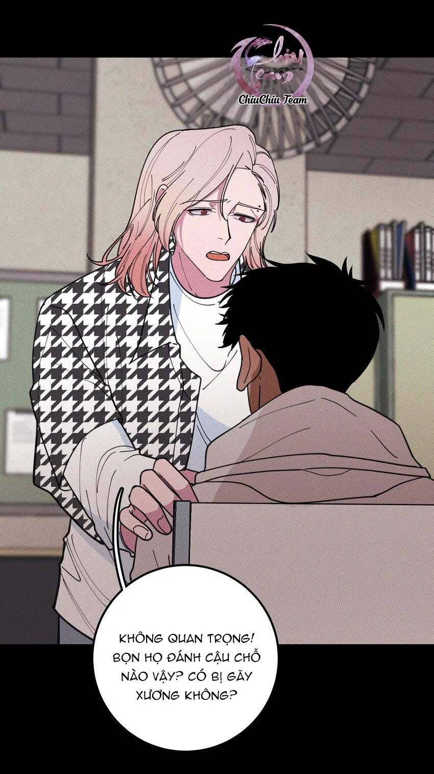 Hộp Bánh Quy Định Mệnh (END) Chapter 35 Trang 42