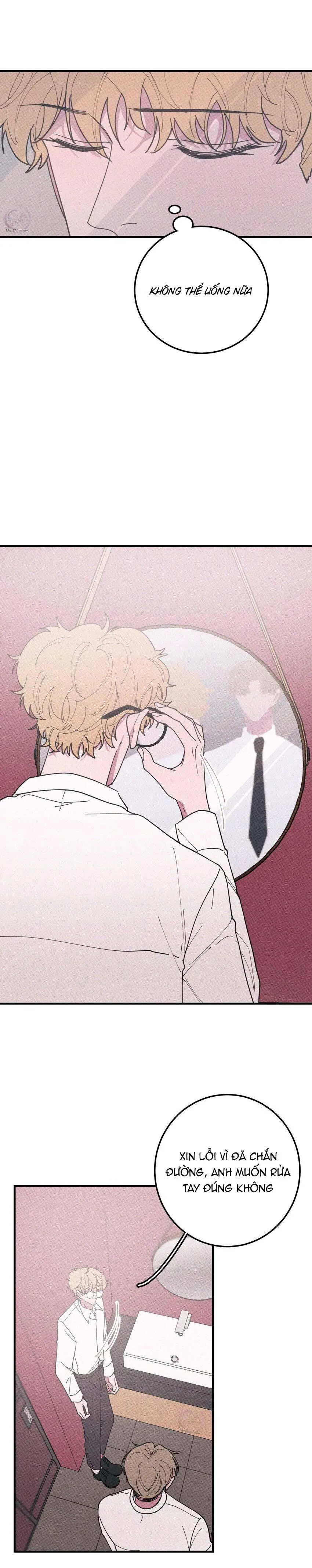 Hộp Bánh Quy Định Mệnh (END) Chapter 36 Trang 6