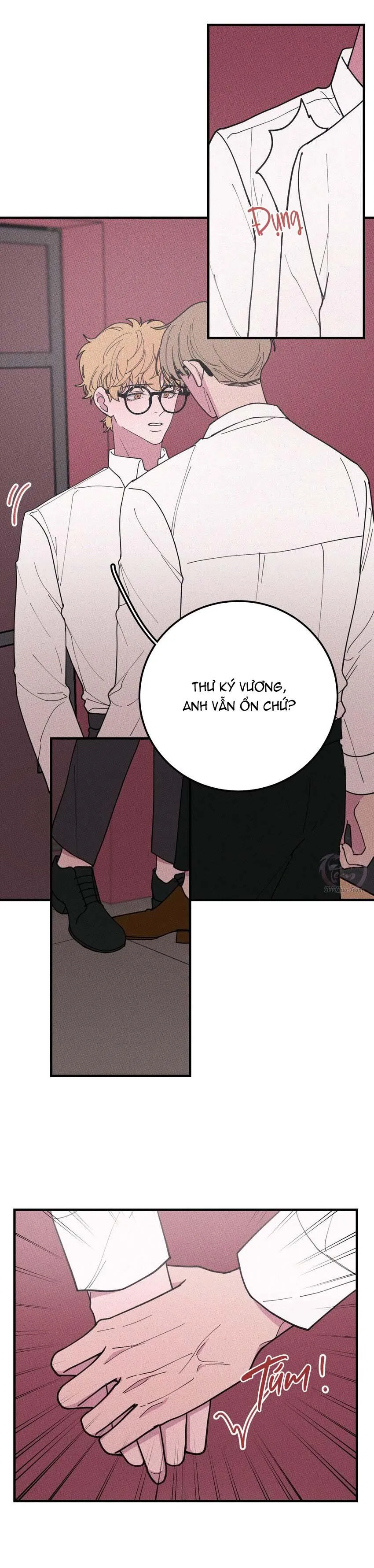 Hộp Bánh Quy Định Mệnh (END) Chapter 36 Trang 7