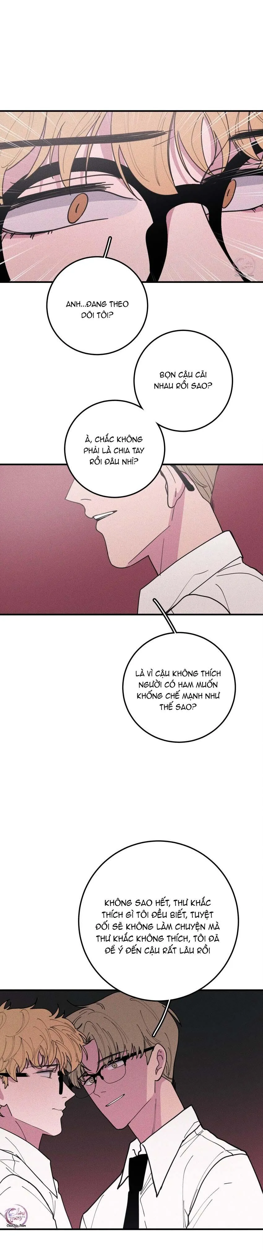 Hộp Bánh Quy Định Mệnh (END) Chapter 36 Trang 10