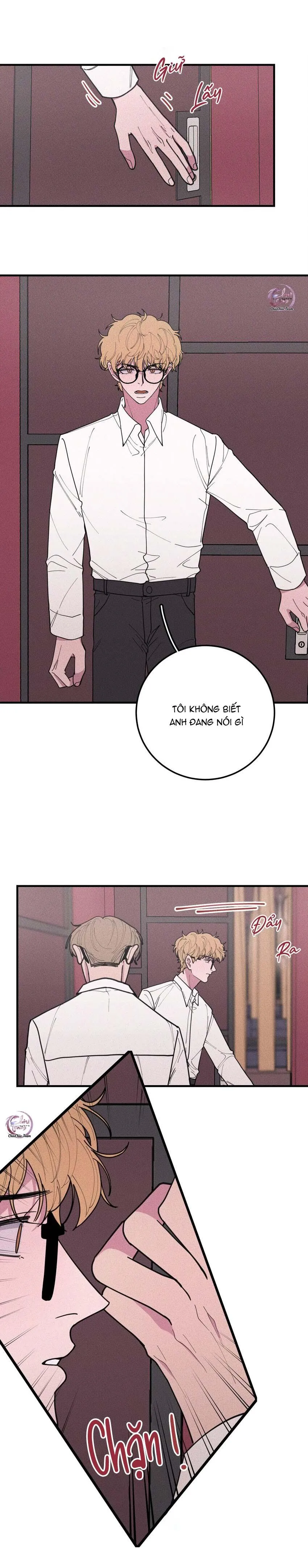 Hộp Bánh Quy Định Mệnh (END) Chapter 36 Trang 11