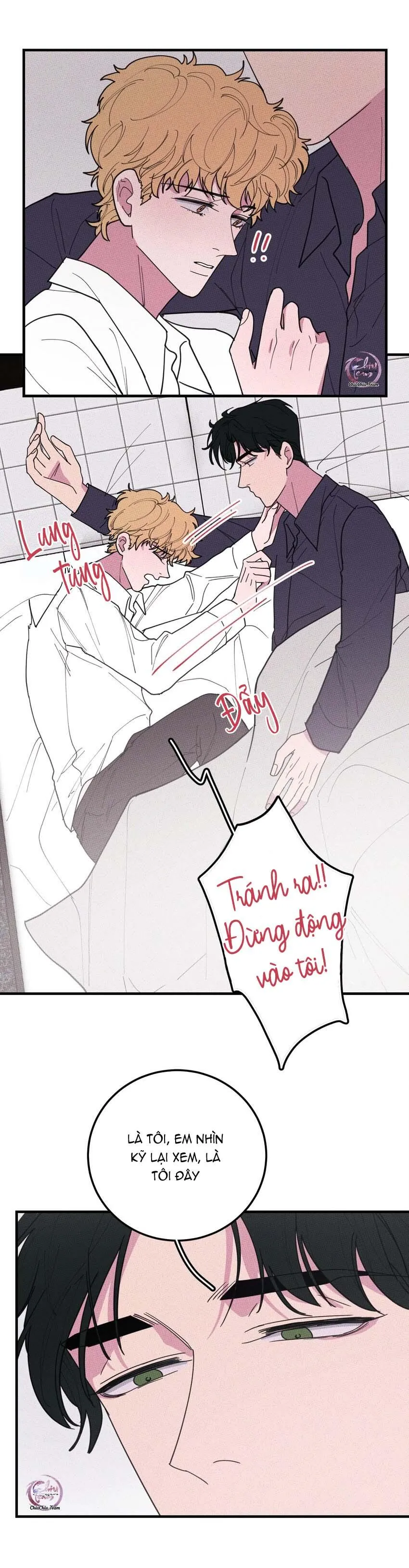 Hộp Bánh Quy Định Mệnh (END) Chapter 37 Trang 5